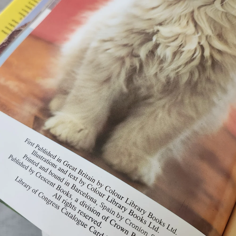 Kittens Book Cover Featuring White Kitten with Yellow Flowers